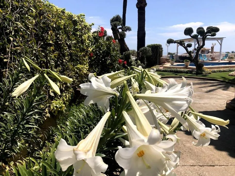 Villa Puerto De La Luz 미하스