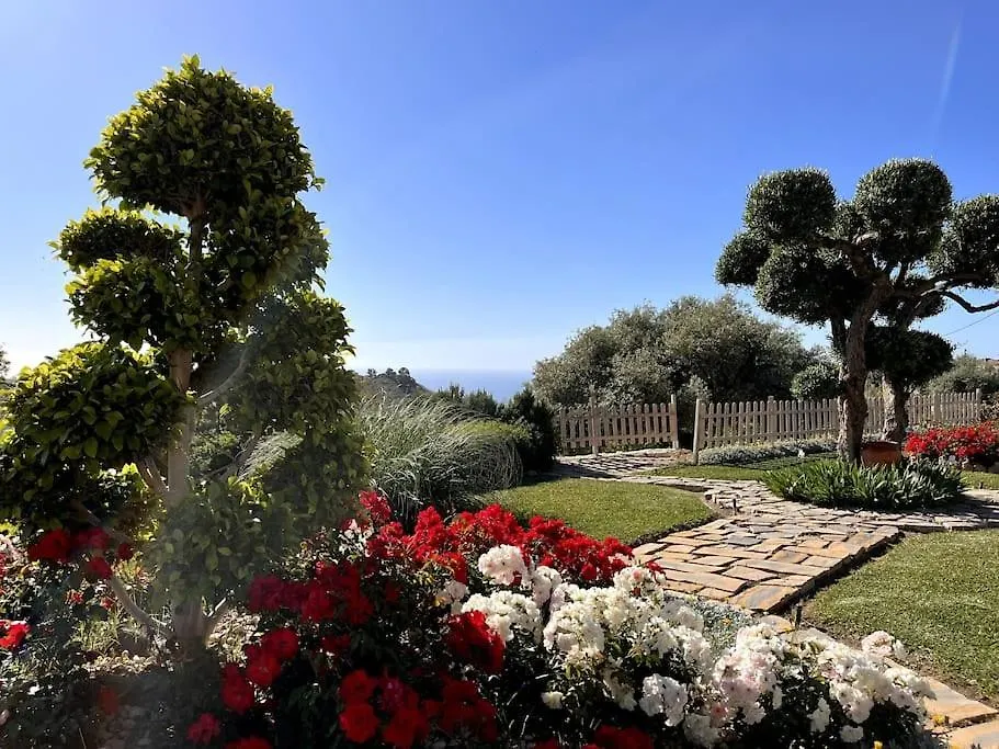 Villa Puerto De La Luz 米哈斯